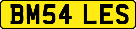 BM54LES