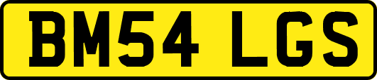 BM54LGS