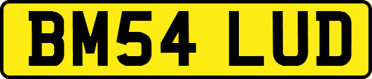 BM54LUD