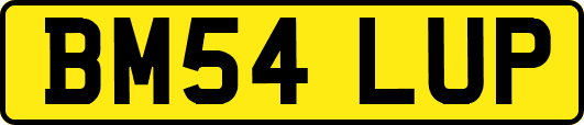 BM54LUP