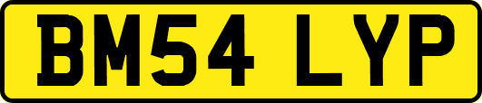 BM54LYP