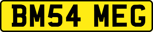 BM54MEG