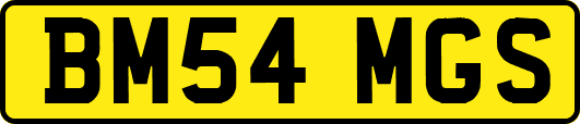 BM54MGS