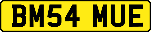 BM54MUE