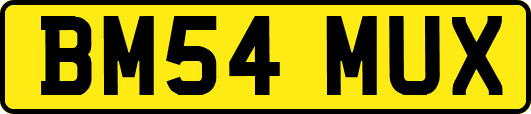 BM54MUX