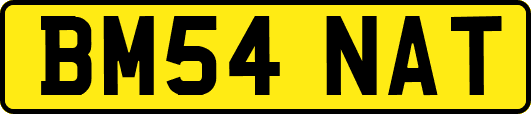 BM54NAT