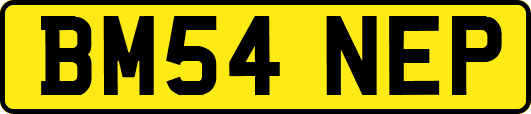 BM54NEP