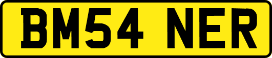 BM54NER