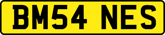 BM54NES