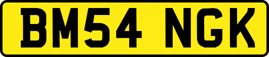 BM54NGK