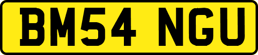 BM54NGU