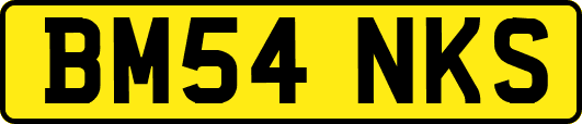 BM54NKS