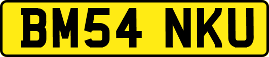 BM54NKU