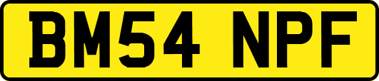 BM54NPF