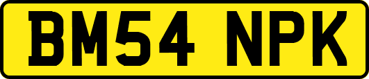BM54NPK
