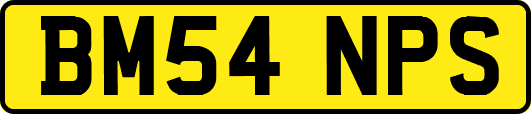 BM54NPS