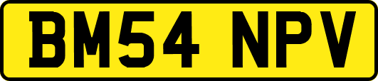 BM54NPV