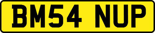 BM54NUP