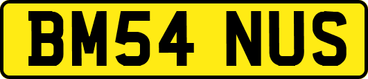 BM54NUS