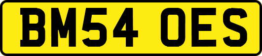BM54OES
