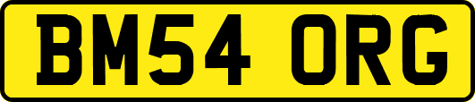 BM54ORG