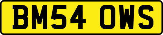 BM54OWS