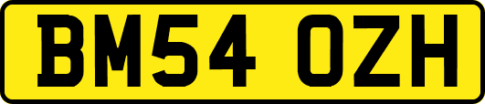 BM54OZH