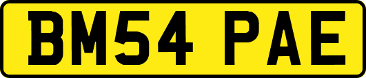 BM54PAE