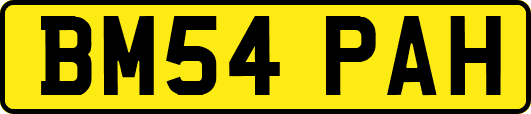 BM54PAH