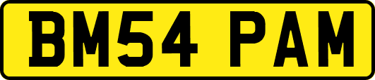BM54PAM