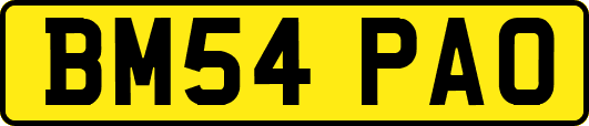 BM54PAO