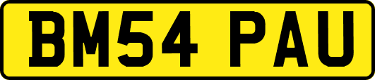 BM54PAU