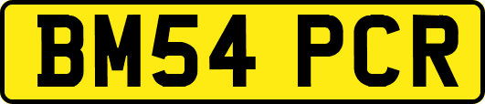 BM54PCR