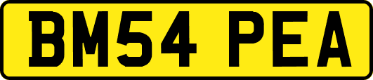 BM54PEA