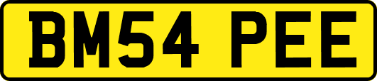 BM54PEE
