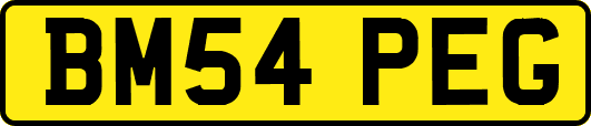BM54PEG
