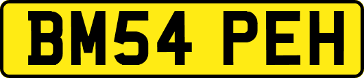 BM54PEH