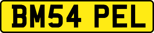 BM54PEL