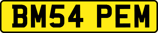 BM54PEM