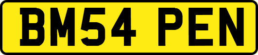 BM54PEN