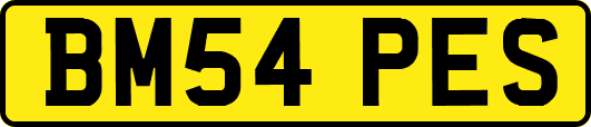 BM54PES