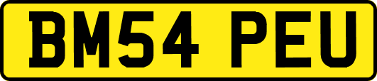 BM54PEU