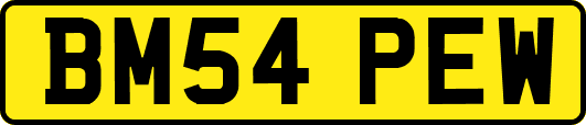BM54PEW