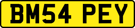 BM54PEY