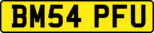 BM54PFU