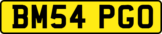BM54PGO