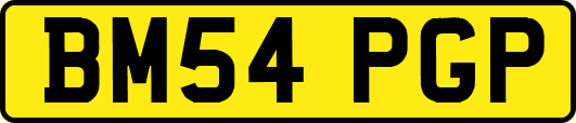 BM54PGP