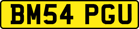 BM54PGU