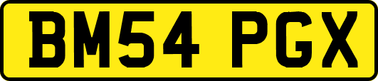 BM54PGX