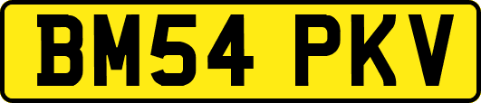 BM54PKV